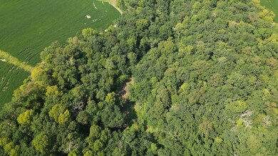 21 Acre Drone 0819241.png