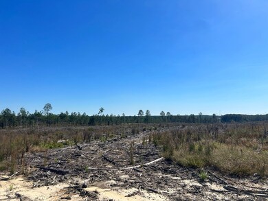 2762 Bullard Ford Rd, Hartsville, SC 29550 - photo 6