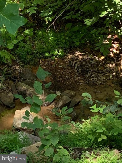 906 Ithaca, Winchester, VA 22601 - photo 4