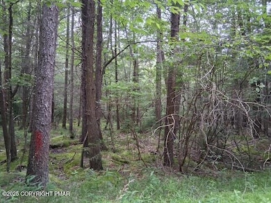 18 Robyn Ln, Pocono Lake, PA 18347 - photo 7