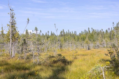 N9895 Krause Rd, Engadine, MI 49827 - photo 7