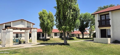 Front & Side Yard (5)