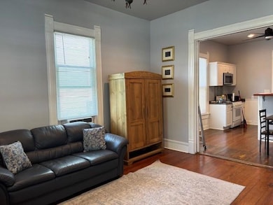 Living area featuring dark wood-style flooring an