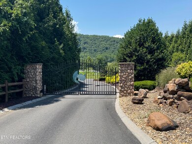 0 River Rapids Way Lot 5 Way, Del Rio, TN 37727 - photo 5