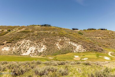 007_14-7429_golden_bear_loop14_584