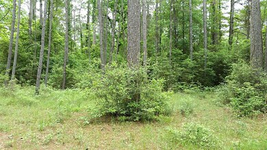 480 Pelican St, Magnolia, TX 77355 - photo 6