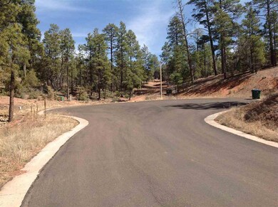 4650 S Manzanita Way, Show Low, AZ 85901 - photo 3