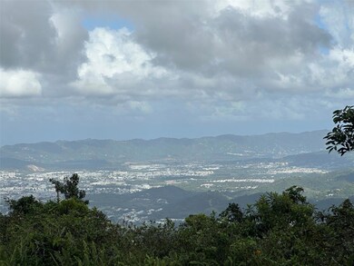 Bo Beatriz Fincas Mi Recreo 3 Carr 1, Caguas, PR 00725 - photo 2