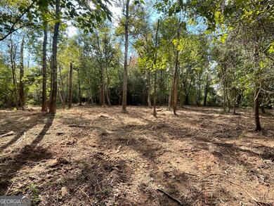 0 Buffalo Creek Rd unit 10624169, Carrollton, GA 30117 - photo 3