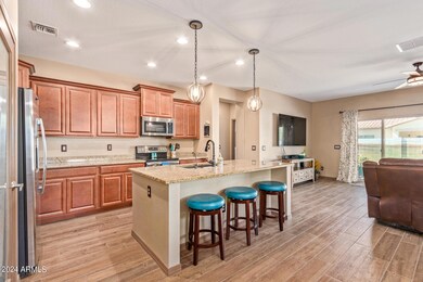 1314 W Buckeye Tree Ave, San Tan Valley, AZ 85140 - photo 5