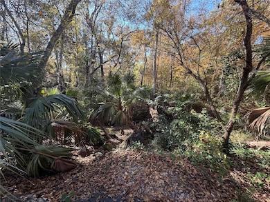 1515 NW 29th Rd unit D2, Gainesville, FL 32605 - photo 3