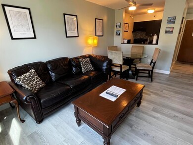 28 Packard's Rd unit 213, Waterville Valley, NH 03215 - photo 4