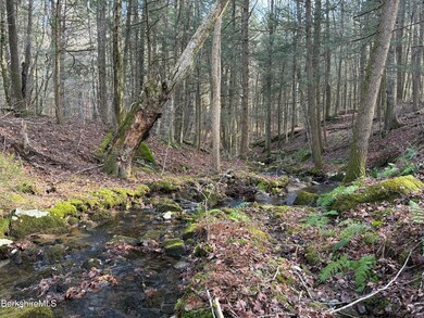 Lot 8 Benton Hill Rd, Becket, MA 01223 - photo 5