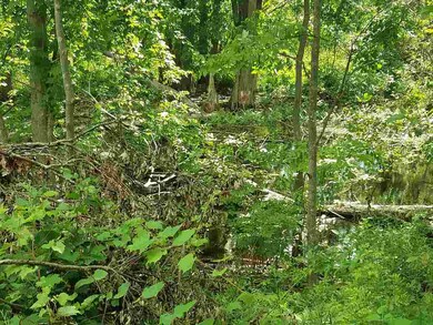 Pond in woods.