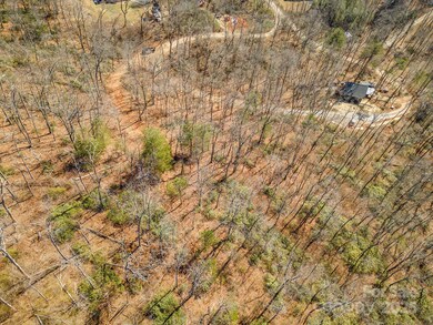 107 Bartram Way, Black Mountain, NC 28711 - photo 7