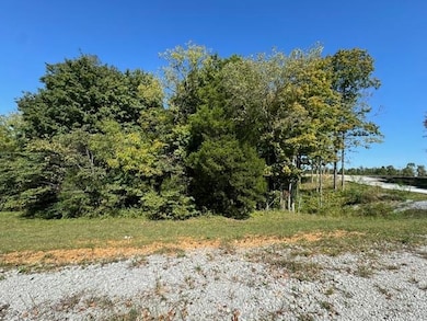 Tract 3 Carroll Knicely Dr, Glasgow, KY 42141 - photo 4