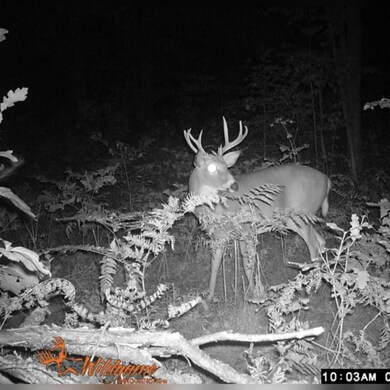 1815 12 Mile Rd, Bitely, MI 49309 - photo 5