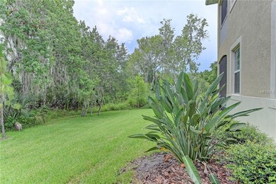 Side yard