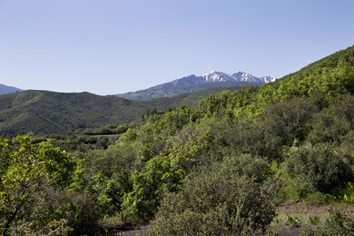 IMG_5178