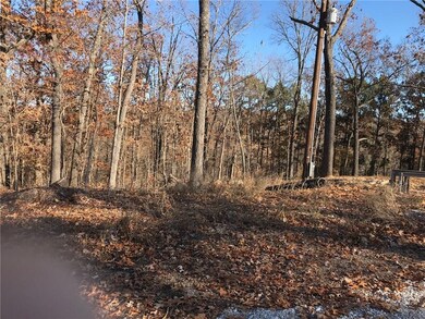 0 Ford Ln, Bella Vista, AR 72714 - photo 2