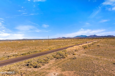 2322 US Hwy 180, Williams, AZ 86046 - photo 7