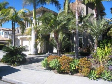 Tropical Front Landscaping