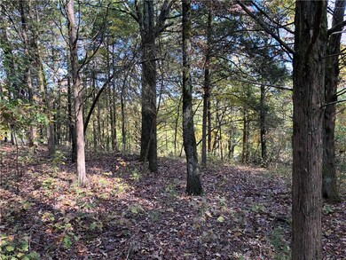 0 Sulphur City & Stokenbury Rd unit 1131158, Elkins, AR 72727 - photo 3