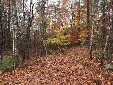 29 Chimera Hill Rd, Windham, ME 04062 - photo 2