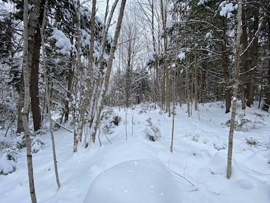 0 Fall Brook Rd unit 5071480, Lyndon, VT 05851 - photo 5
