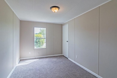 Carpeted spare room with a textured ceiling