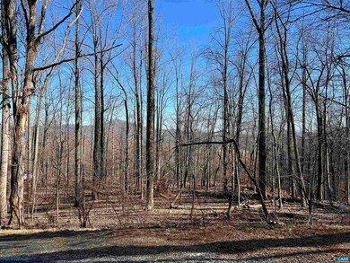 22 Pauls Creek Ct, Nellysford, VA 22958 - photo 2