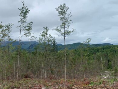 4 Pike Pond Rd, Stark, NH 03582 - photo 5