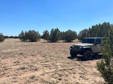 13 SW Chain Ranch, Ash Fork, AZ 86320 - photo 4