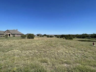 238 Martin Trail, Granbury, TX 76049 - photo 7
