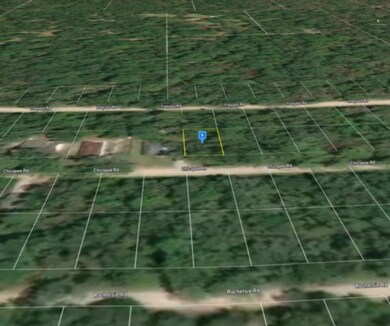 0 Chicopee Rd unit 365262, Crawfordville, FL 32327 - photo 2