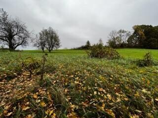 IMG_0252 - Copy