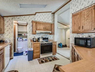 116 Virginia St, Idaho Springs, CO 80452 - photo 7