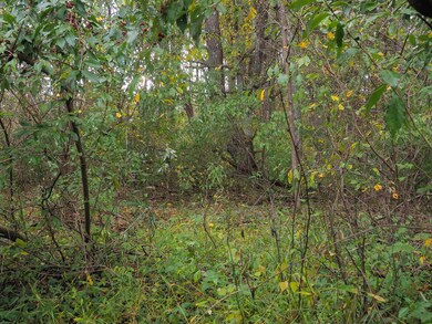 TBD Blue Lake Ln, Laurel Fork, VA 24352 - photo 5