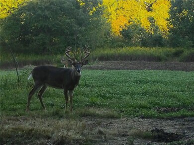 0 Kelly Branch Rd unit MBR21783667, Bloomfield, IN 47424 - photo 5