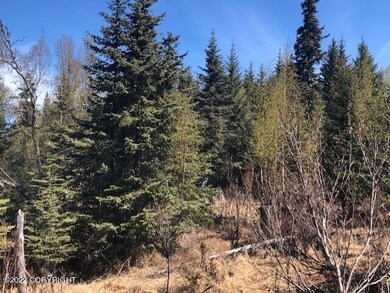 66384 Markoka Ave, Anchor Point, AK 99556 - photo 7