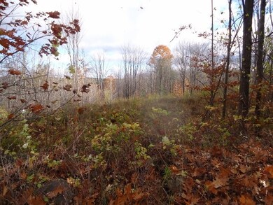 00 Raccoon Hill Rd, Salisbury, NH 03268 - photo 2