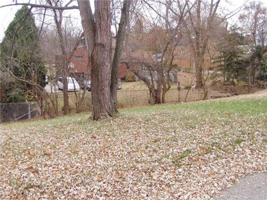 Yard/Garden.