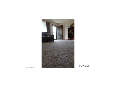 New Carpet Door 050414