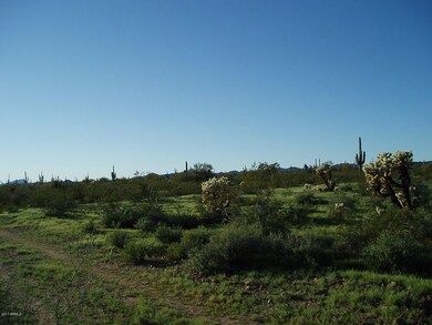 P3010017