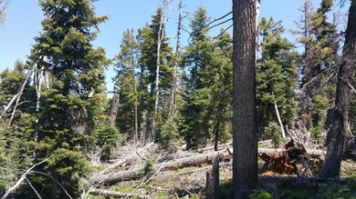 930 W Shale Cir unit ZVME E-130, Duck Creek Village, UT 84762 - photo 5