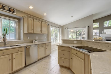 9612 Silver Hill Cir, Lone Tree, CO 80124 - photo 6