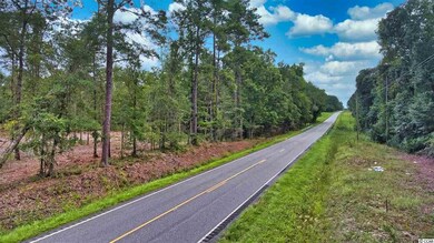 TBD Tract A S Carolina 19, Loris, SC 29569 - photo 6