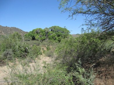 Vegetation