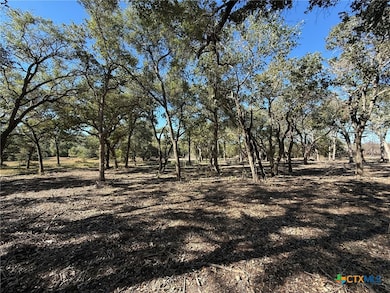 000 Bugle Ln, Victoria, TX 77905 - photo 3