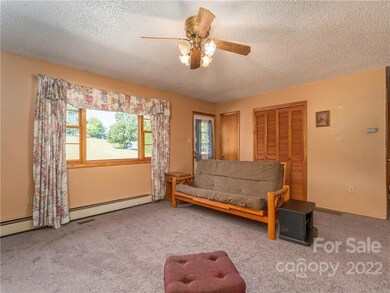 109 Dix Creek Chapel Rd, Asheville, NC 28806 - photo 6